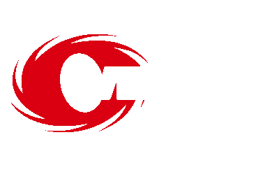 WENFIS